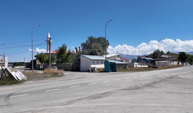 Camide kediye tekme atan kişi gözaltına alındı