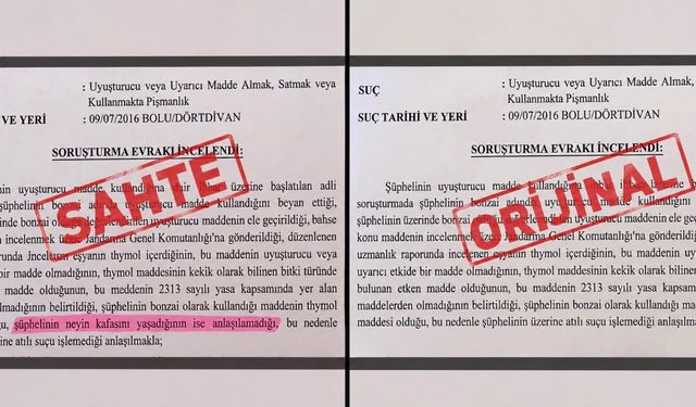 'Neyin kafasını yaşadığı anlaşılamadı' ifadeli savcılık kararı iddiasına soruşturma