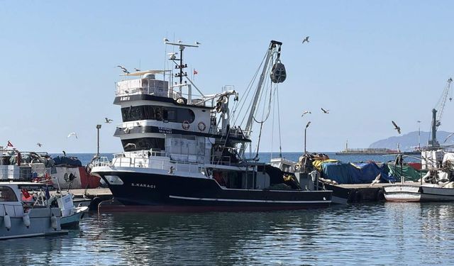 Tekirdağ'da palamut bereketi