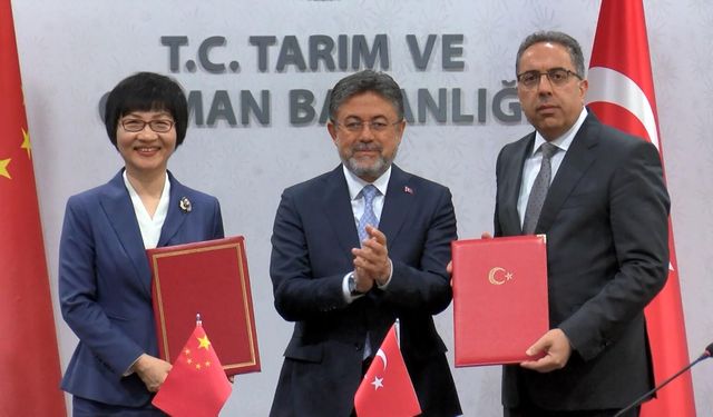 Türkiye ile Çin arasında defne ihracatı protokolü