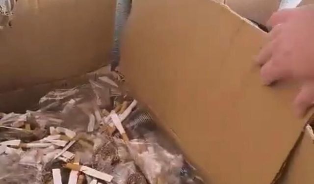 Aydın'da 138 bin 800 makaron ele geçirildi; 3 gözaltı
