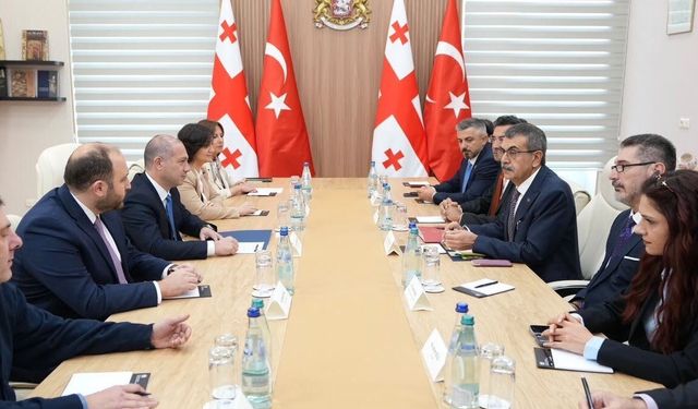 Bakan Tekin, Gürcü mevkidaşı ile bir araya geldi
