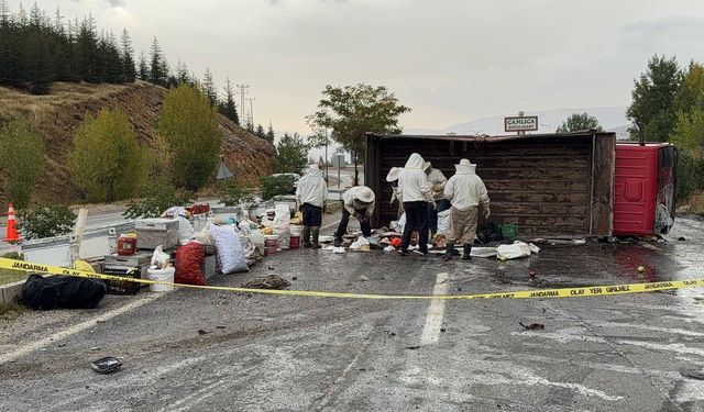 Bal ve arı kovanı yüklü kamyonet devrildi; 3 yaralı