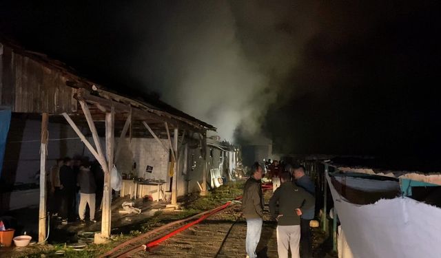 Bursa'da hayvan çiftliğinde çıkan söndürüldü