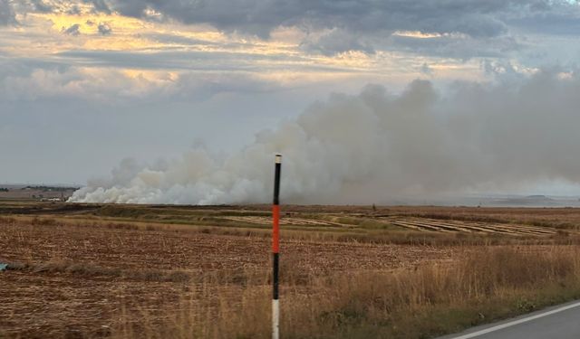 Edirne'de anız yakan 11 kişiye işlem yapıldı