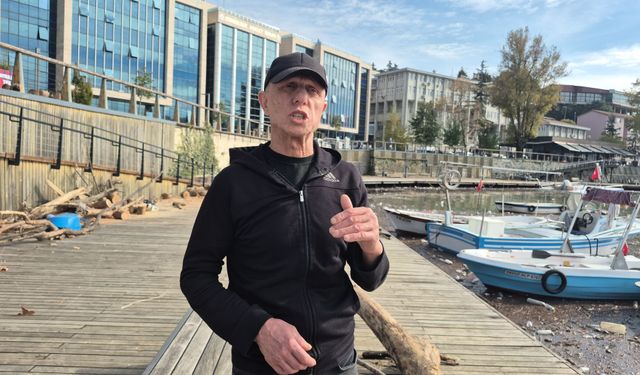 Fırtınanın sürüklediği ağaçlar yakacak oldu