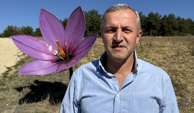 Kilosu 800 bin TL olan safran çiçek açtı