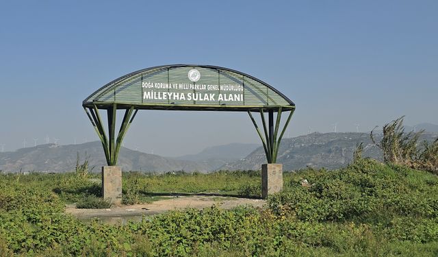 Kuş cennetine moloz döktüler