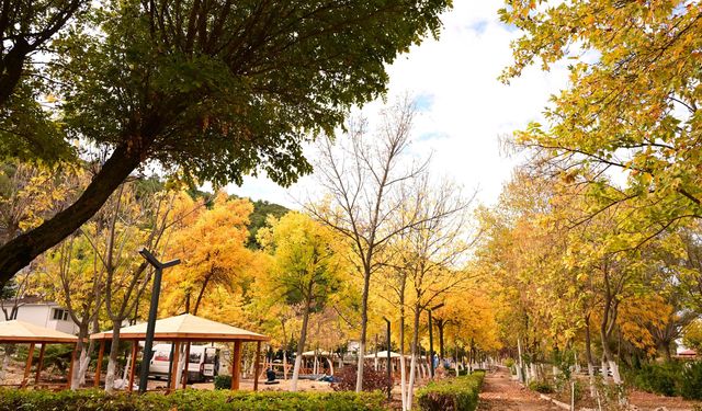 Manisa Demirci'de sonbahar renkleri