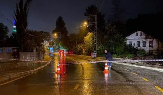 Sakarya'da sağanak; dereler taştı, evleri su bastı (11)
