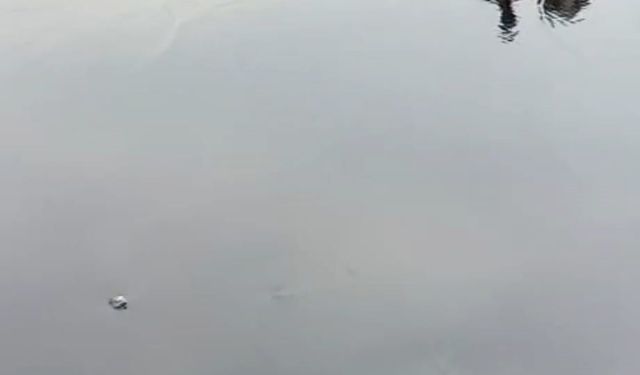Tankerler çarpıştı; tonlarca akaryakıt yola döküldü