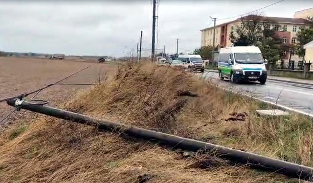 Tekirdağ'da fırtına; ağaç ve telefon direği devrildi