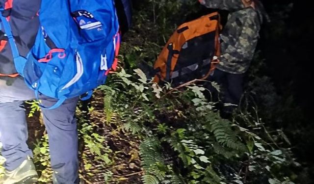 Uçuruma yuvarlanan kamyonetin sürücüsü öldü, 2 çocuğu yaralandı