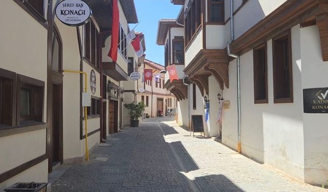 UNESCO 'Yaşayan İnsan Hazinesi' ödüllü Mehmet Gürsoy: Çini göz musıkisidir; notaları ise laleler ve güllerdir