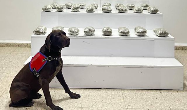Van'da uyuşturucu operasyonu: 3 gözaltı