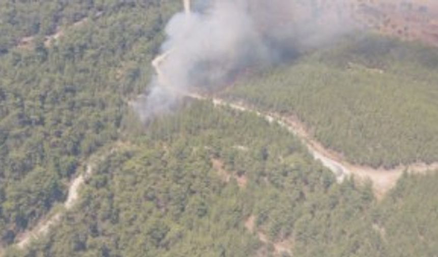 GÜNCELLEME - Muğla'da çıkan orman yangını söndürüldü