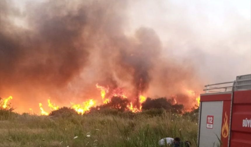 Marmaris'te orman yangını vali açıklaması