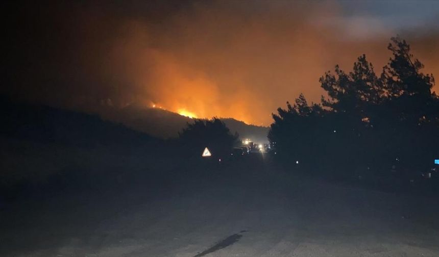 KKTC'deki orman yangınlarında son durum