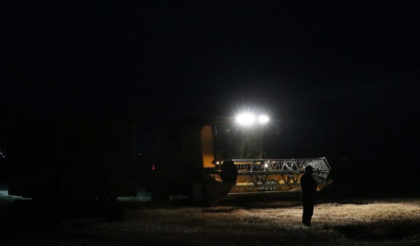 Çiftçilerden aşırı sıcağa "gece hasadı" çözümü