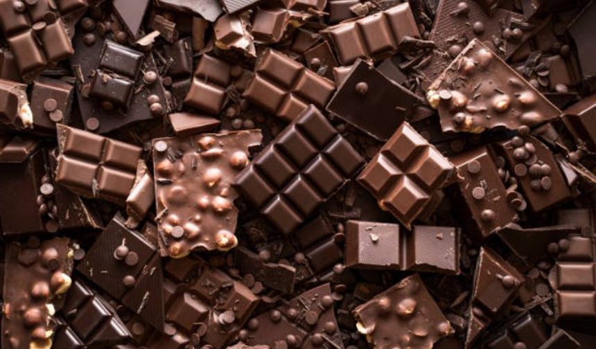 Dünya çapında çikolata üreticilerinin gözü kakao tarlalarına çevrilmiş durumda