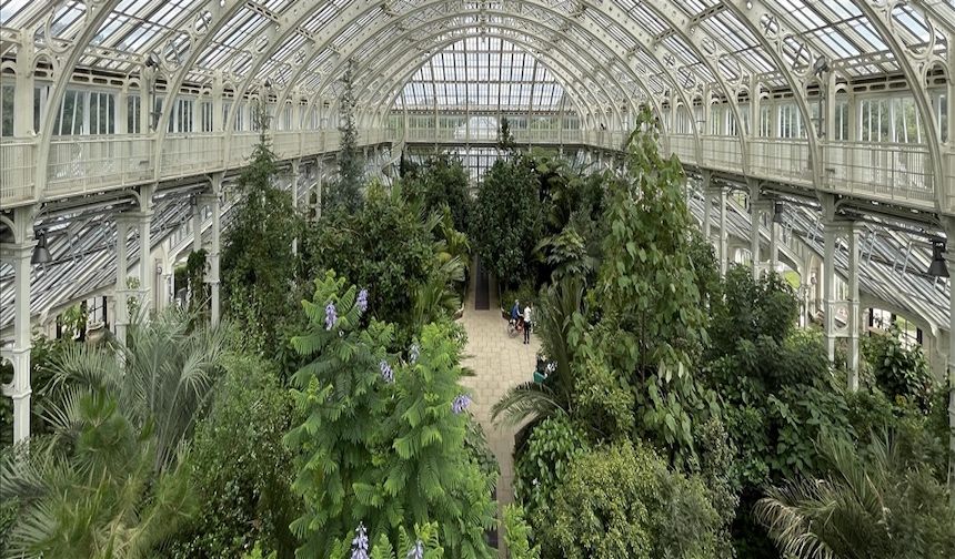 Londra Kew Gardens'a iklim tehlikesi