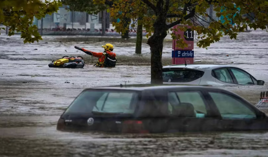 Paris'te ağaç devrildi! 1 kişi hayatını kaybetti