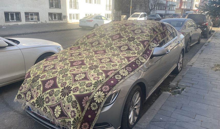 Kars'ta soğuk hava etkili oldu