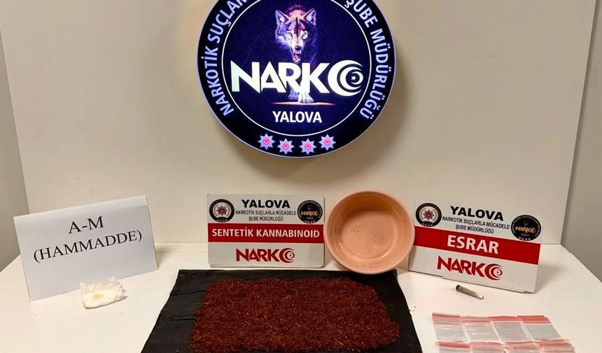 Yalova'da 25 gün içinde yapılan uyuşturucu operasyonlarında 12 şüpheli tutuklandı