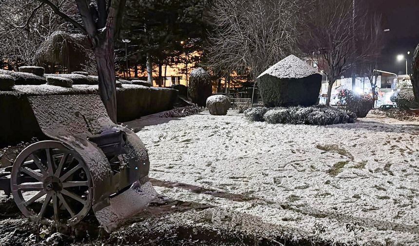 Afyonkarahisar'da kar yağışı etkili oldu