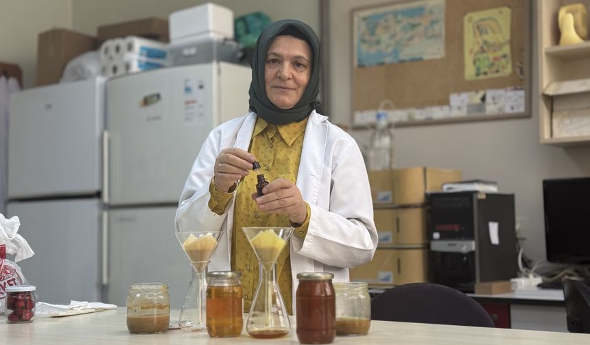 Arı ürünleri araştırmaları 'KTÜ APİMER' çatısı altında sürdürülecek