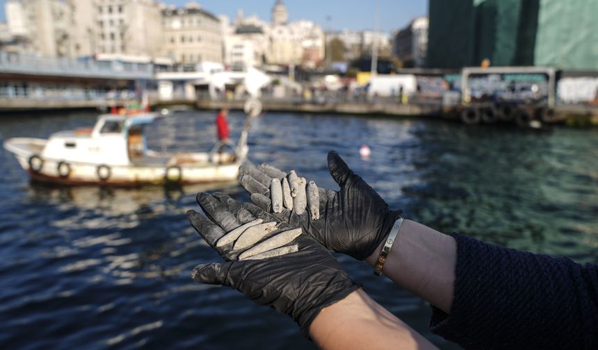 Haliç'te 'Deniz Dibinden Olta Kurşunlarının Çıkarılması' etkinliği yapıldı