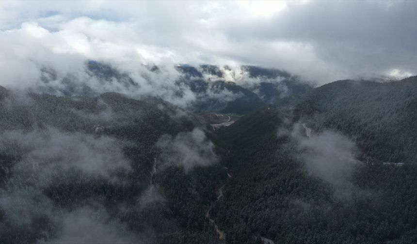 Ilgaz Dağı'nda kar ve sis etkili oldu