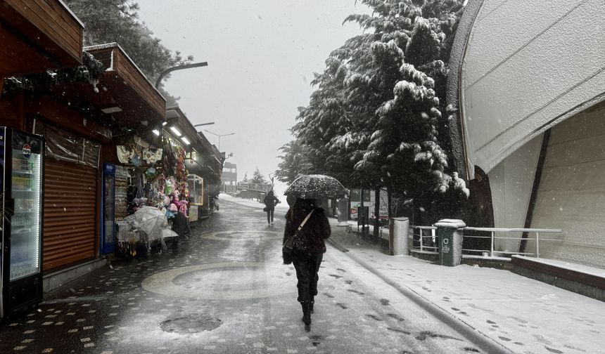 Karadeniz'de kar etkili oldu