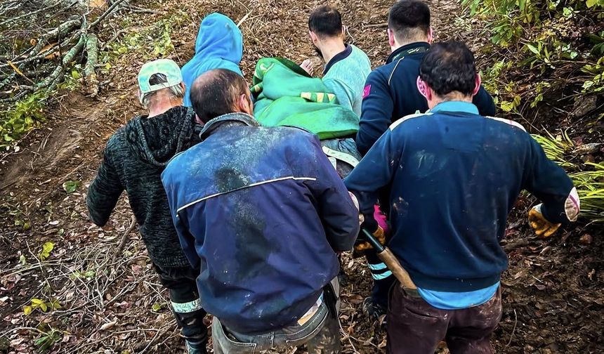 Kastamonu'da tomruk altında kalan orman işçisi yaralandı