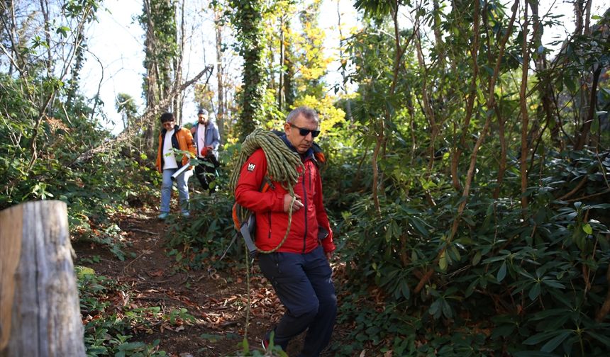 Ordu Yoroz Kent Ormanı'ndaki sarp kayalar dağcıların yeni rotası oldu