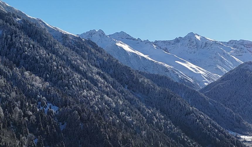 Rize ve Artvin'in yüksek kesimlerinde kar etkili oldu