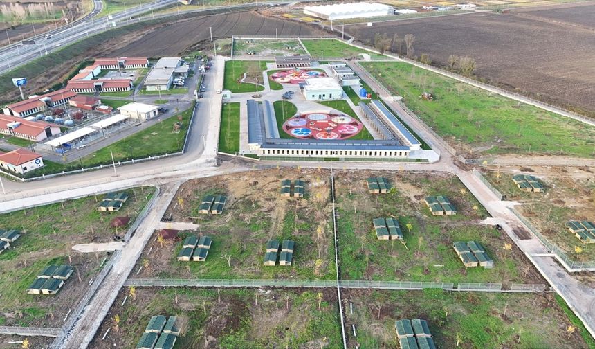 Sakarya'da Doğal Yaşam Kampüsü kapılarını sahipsiz hayvanlara açtı