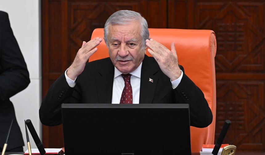 TBMM Genel Kurulu'nda 2024 Yılı Merkezi Yönetim Kesin Hesap Kanunu Teklifi'nin maddeleri görüşülüyor