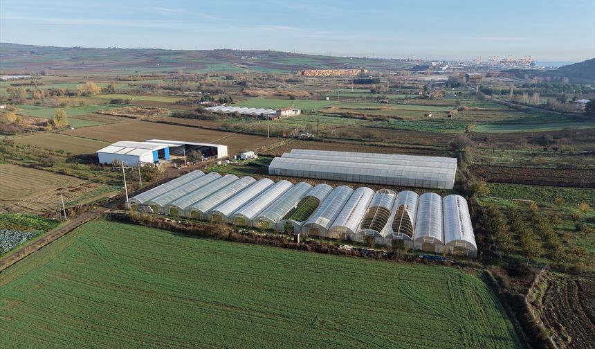 Tekirdağ'da üreticilere seralarını yenileyebilmeleri için devlet destekli sera naylonu dağıtıldı