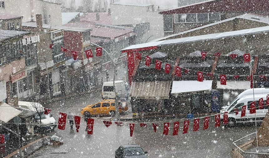 Van'da kar etkili oldu