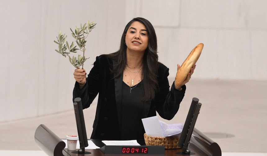 2024 Yılı Merkezi Yönetim Kesin Hesap Kanunu Teklifi, Genel Kurul'da (2)