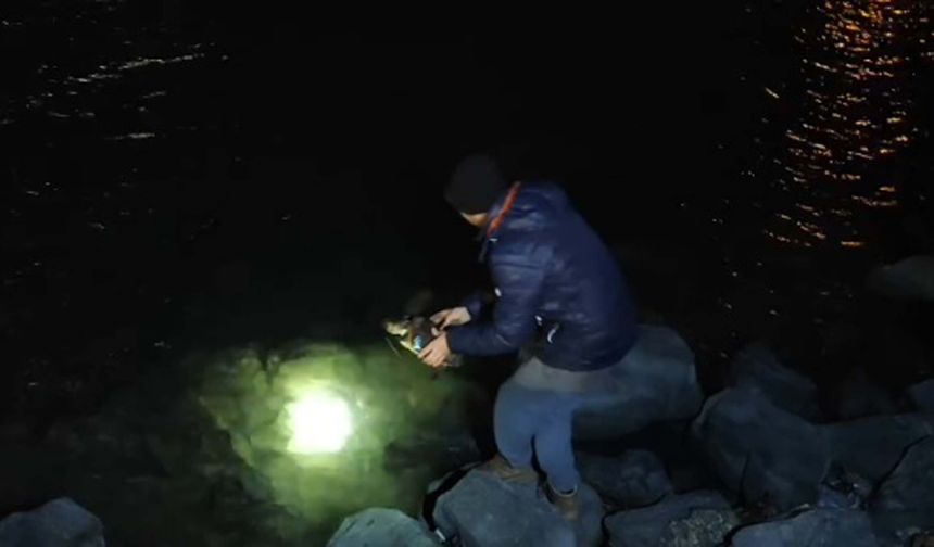 Misina ve ipe dolanan caretta carettayı vatandaşlar kurtardı