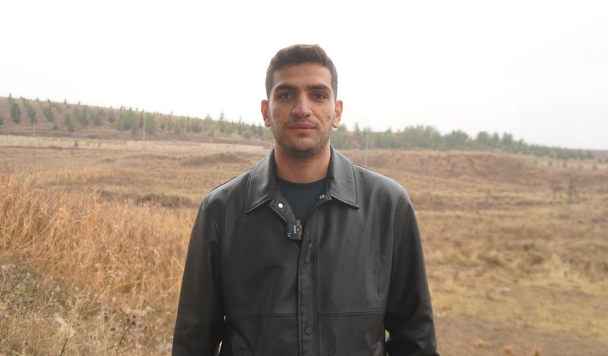 Siirt'te ilk safran üretimi