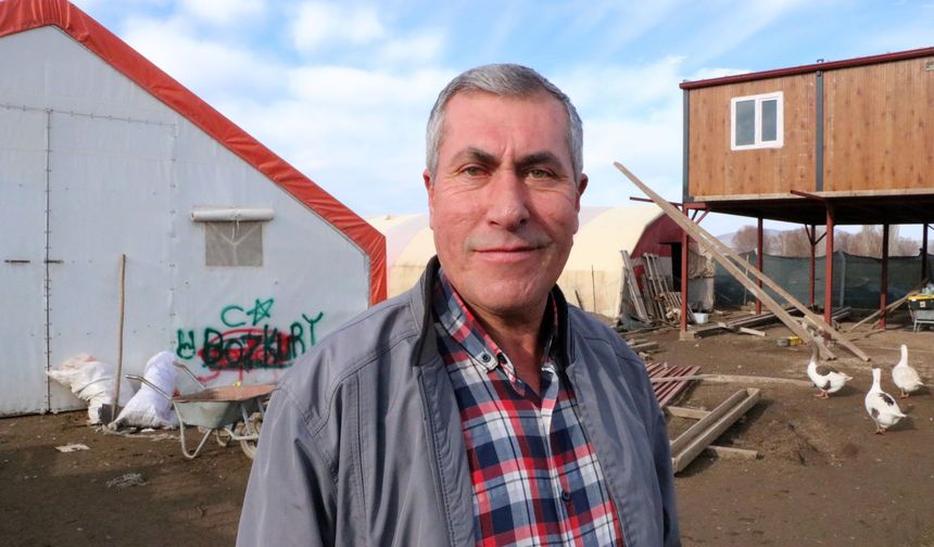 3 asırdır köylerinde kaz yetiştiriyorlar