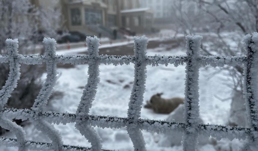 Ardahan buz kesti; dışarı çıkanların kaş ve kirpikleri dondu