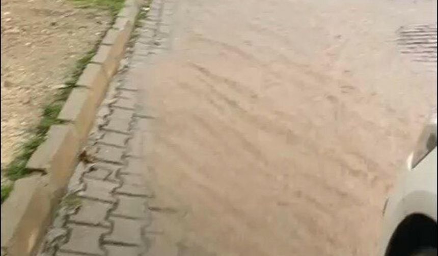 Aydın'da sağanak etkili oldu