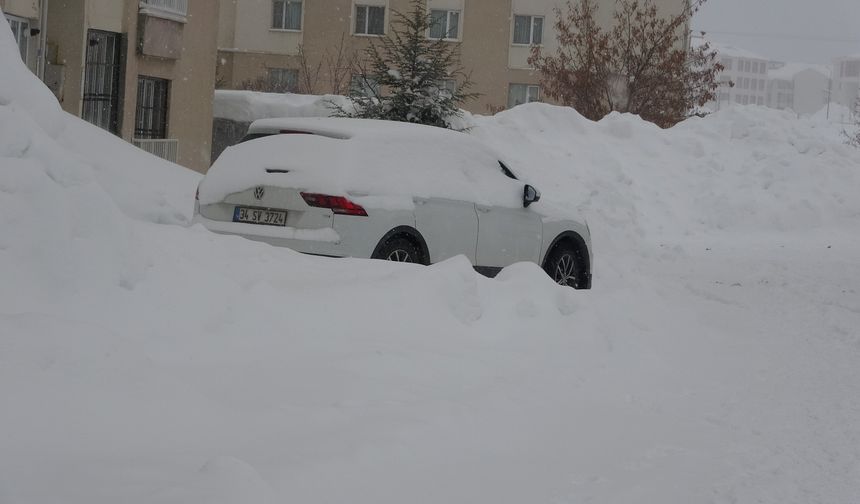 Bitlis'te 104 yerleşim yeri ulaşıma kapandı / Ek fotoğraflar