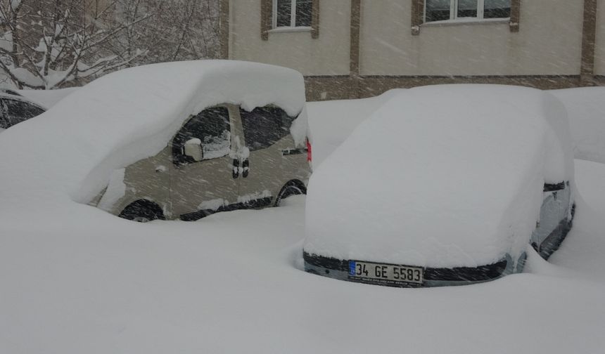 Bitlis'te kardan kapanan 197 yerleşim yerinin yolu açıldı