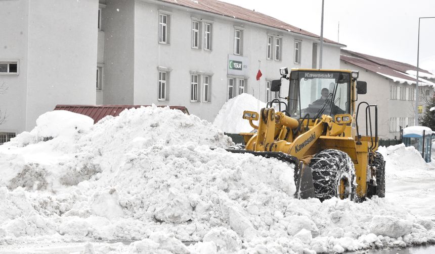 Bitlis'te kardan kapanan 210 köy ve mezra yolu ulaşıma açıldı