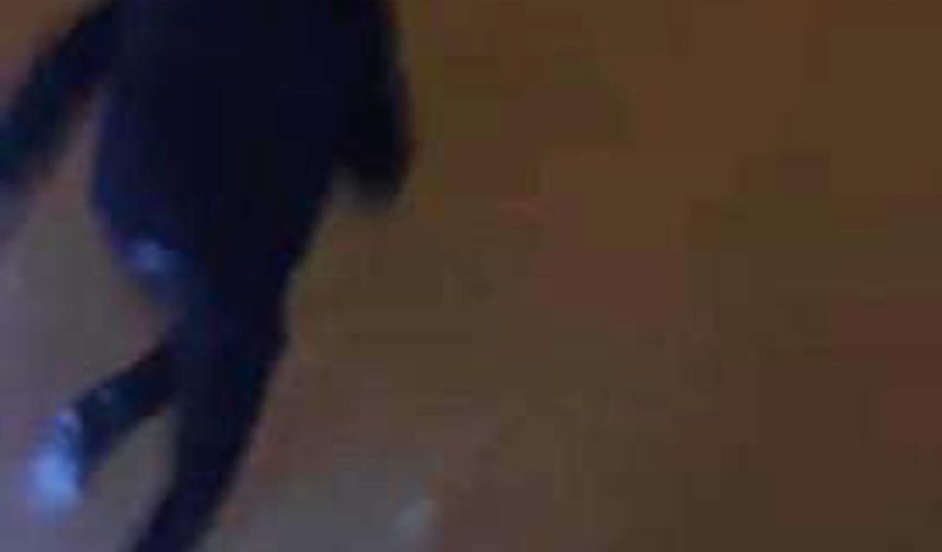 Görüntülemek istedikleri kurdun saldırısından araçlarına binerek kurtuldular